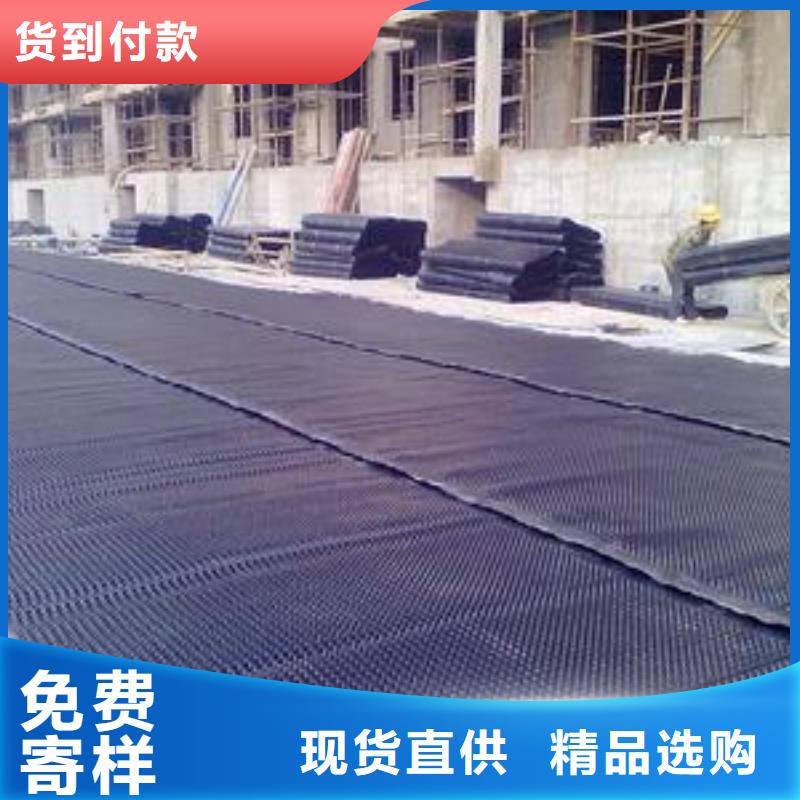 塑料排水板玻纤土工格栅品质保证