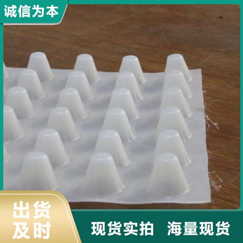 塑料排水板_长丝土工布高性价比