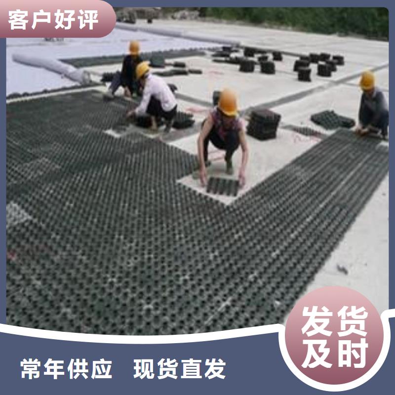 塑料排水板无纺布随到随提