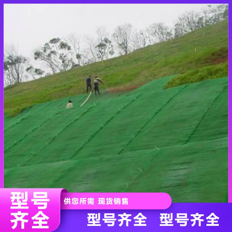 【三维植被网】双向塑料土工格栅支持定制贴心售后