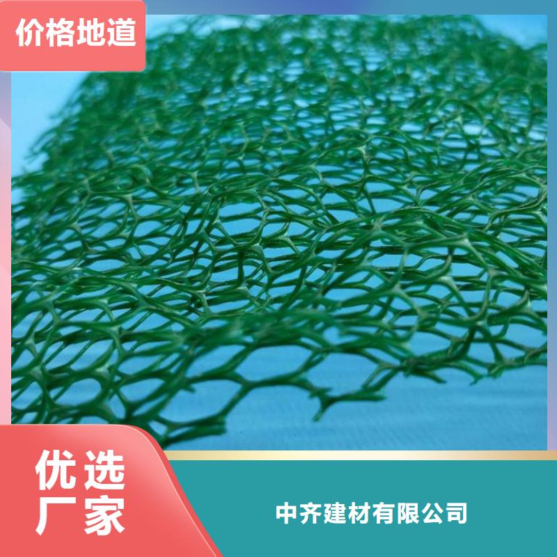 【三维植被网】涤纶格栅懂您所需-可发货到盱眙|洪泽|泰州|南通|南京|常州|镇江|徐州