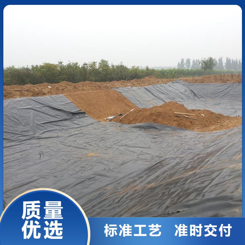 土工膜 【双向塑料格栅 】诚信可靠当地品牌