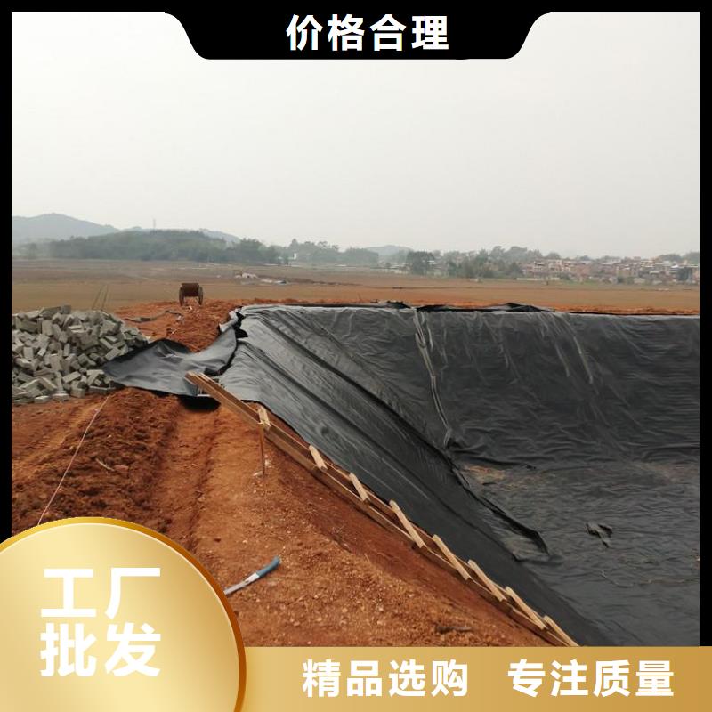 多种规格供您选择【土工膜】双向塑料格栅 库存齐全厂家直供_中齐建材有限公司