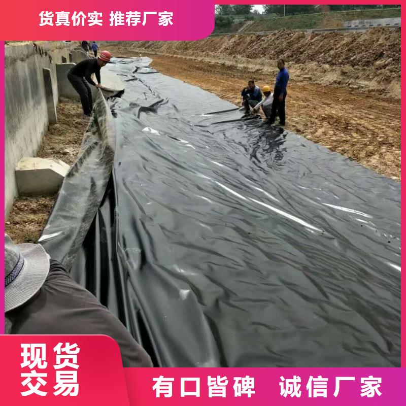 土工膜无纺布欢迎来电询价