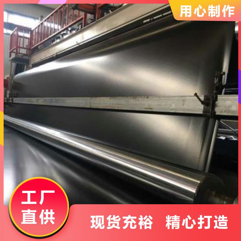 土工膜 【双向塑料格栅 】诚信可靠当地品牌