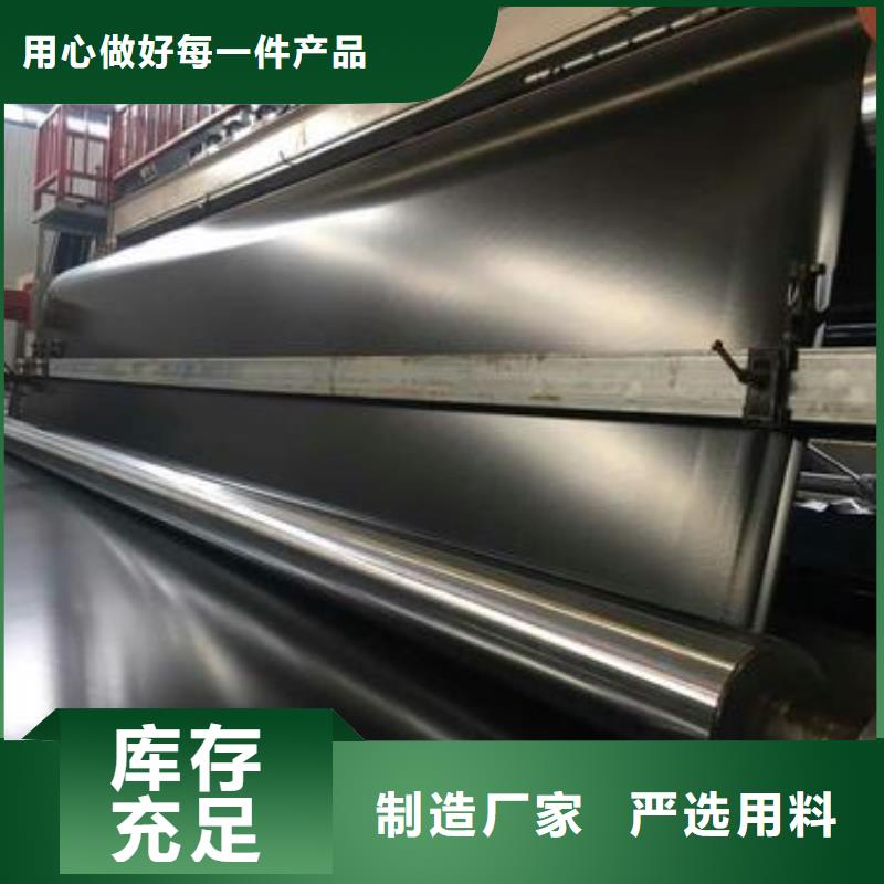 土工膜涤纶土工格栅工厂批发