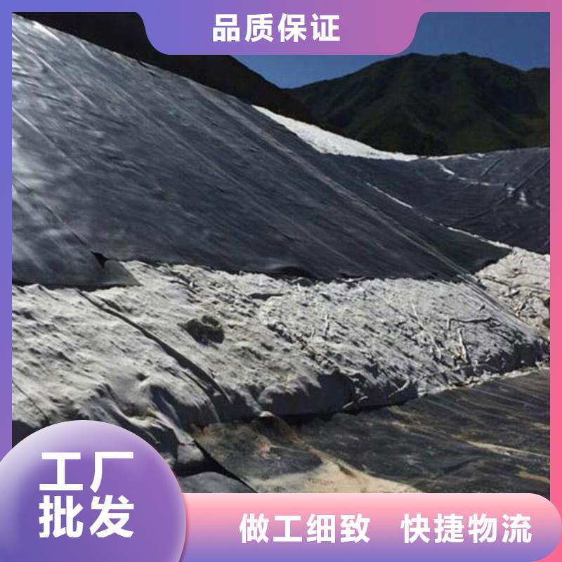【 土工膜_单向塑料格栅一手货源源头厂家】-市场覆盖|呼伦贝尔|乌海|阿拉善|呼和浩特-云推易