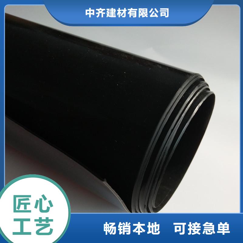 土工膜涤纶土工格栅工厂批发