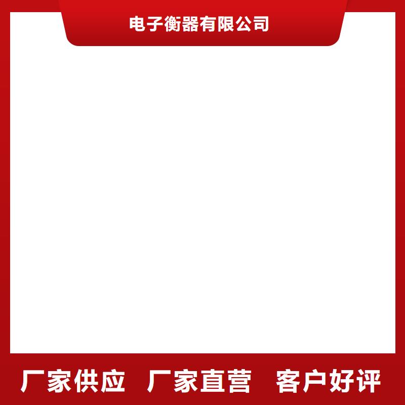 【 电子皮带秤_电子地磅细节决定品质】