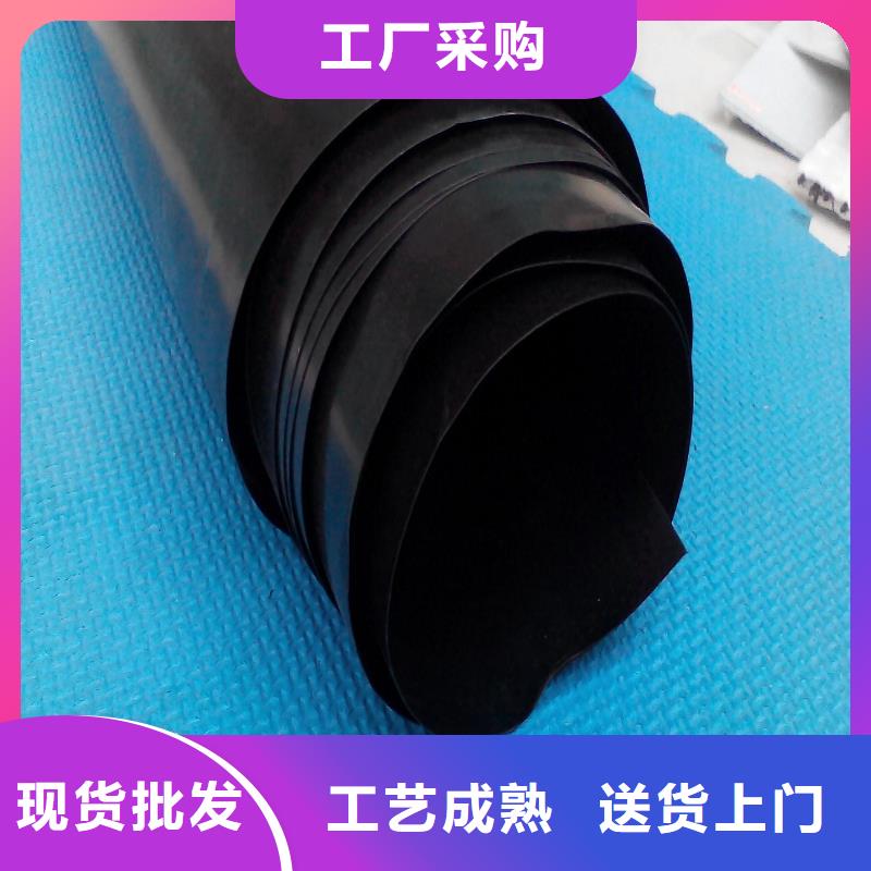 【土工膜】-三维植被网匠心品质|山南|昌都|林芝|拉萨|日喀则生产厂家