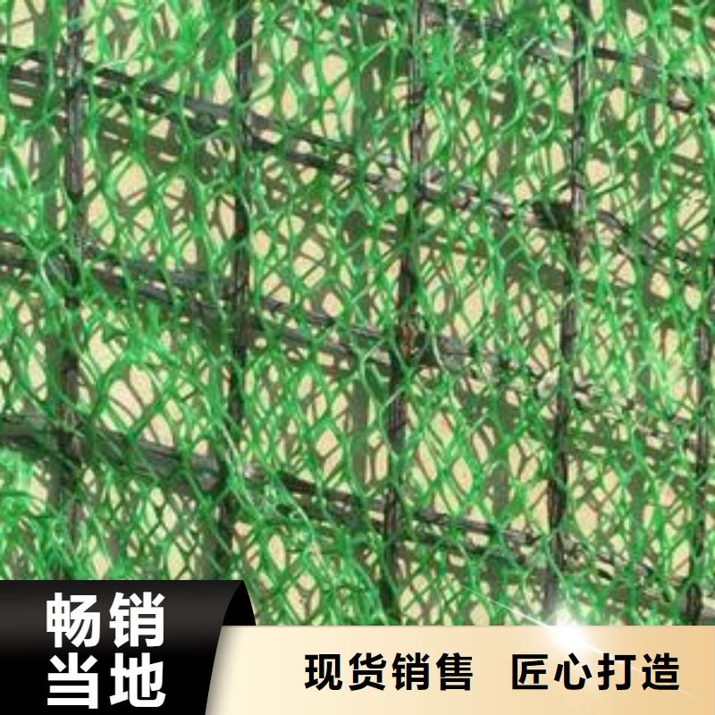 三维植被网_水土保护毯市场报价