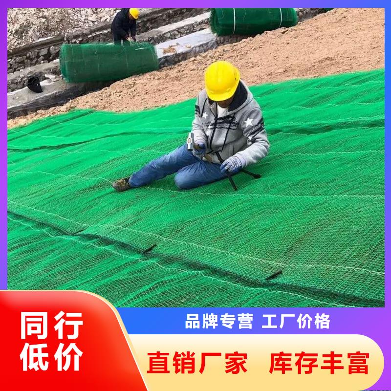 三维植被网玻纤格栅实力派厂家