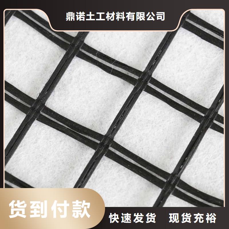 鼎诺【 玻纤土工格栅,钢塑土工格栅同行低价】-云推易