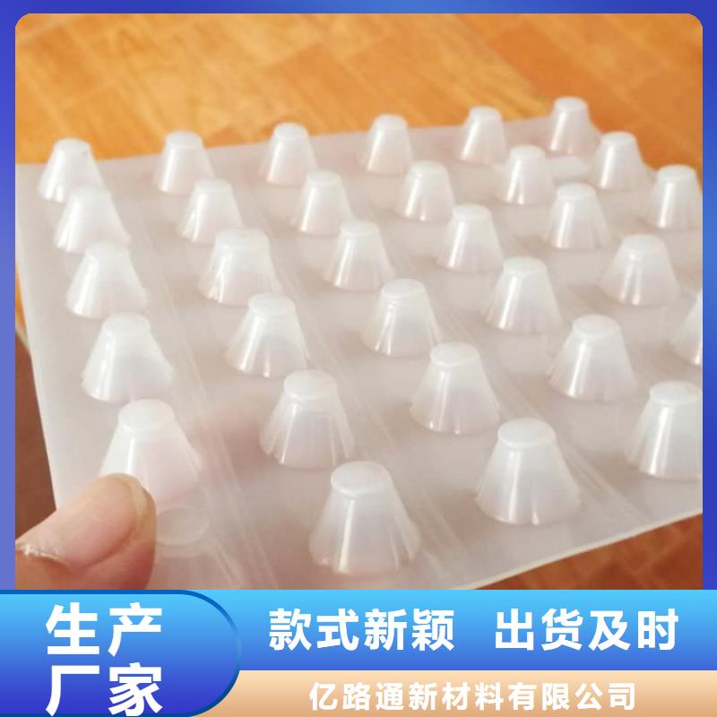 塑料排水板钢塑土工格栅厂家严选用料