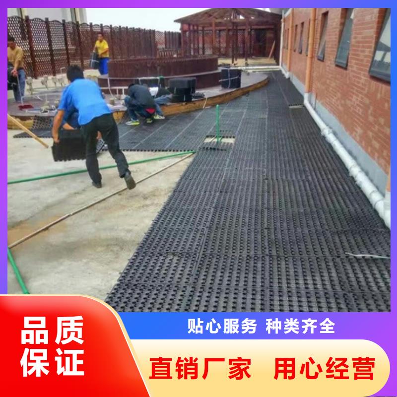 塑料排水板长丝无纺土工布打造行业品质