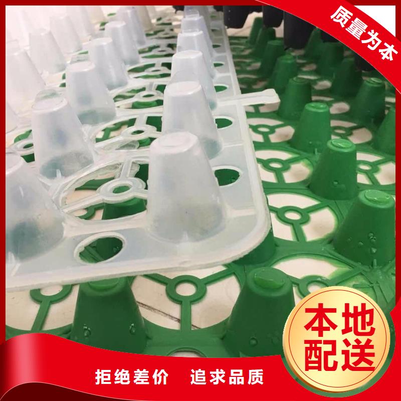塑料排水板长丝无纺土工布打造行业品质