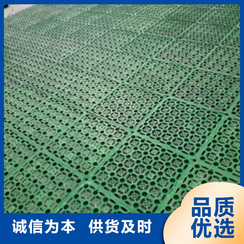 塑料排水板-土工席垫做工精细