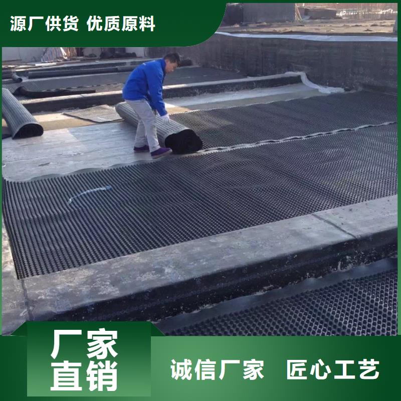 塑料排水板_三维水土保护毯快速发货