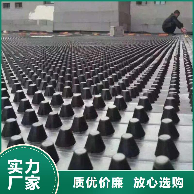 塑料排水板-单向塑料土工格栅厂家直销