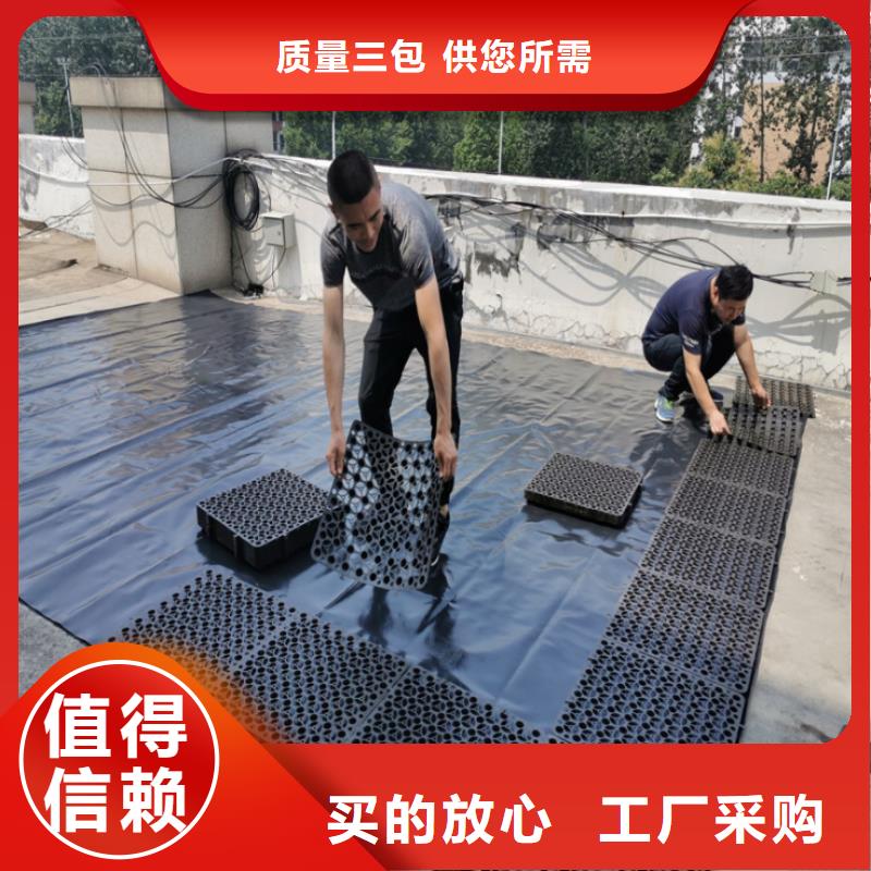 塑料排水板自营品质有保障
