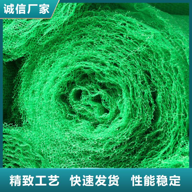 国标检测放心购买 三维植被网_【土工布价格】工程施工案例
