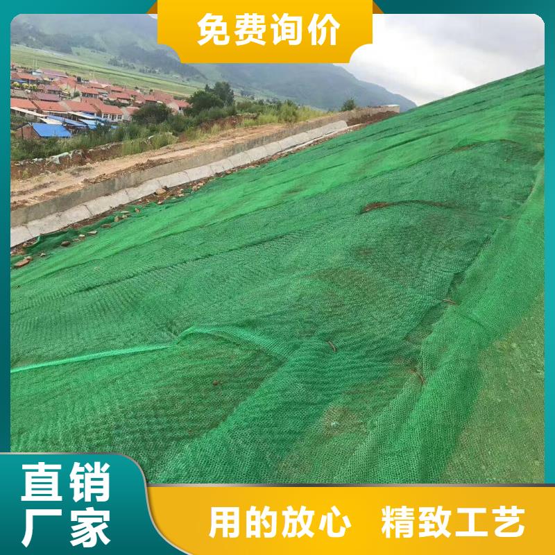 国标检测放心购买 三维植被网_【土工布价格】工程施工案例