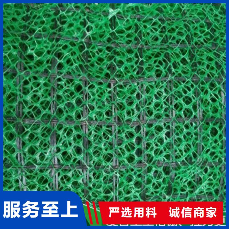 公司三维植被网_【土工布价格】工程施工案例