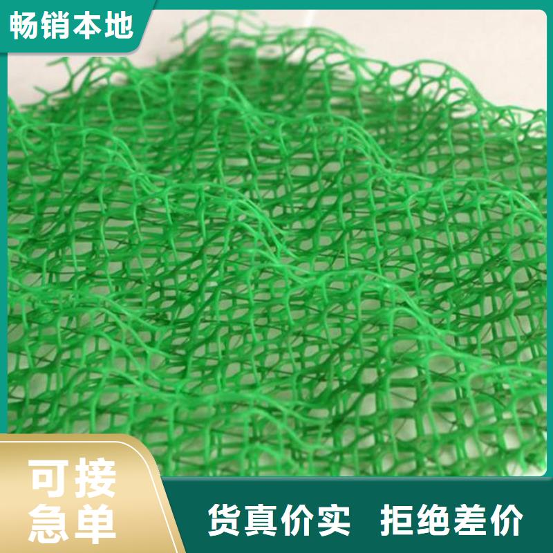三维植被网土工席垫常年供应