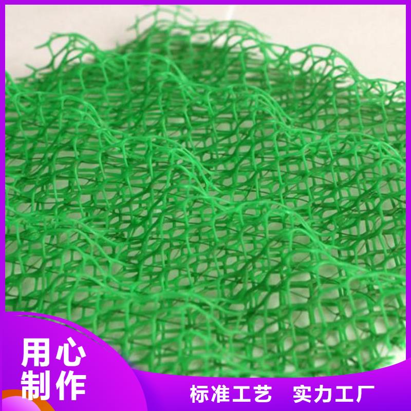 【三维植被网】,三维水土保护毯正规厂家-亿路通新材料(安阳市分公司)