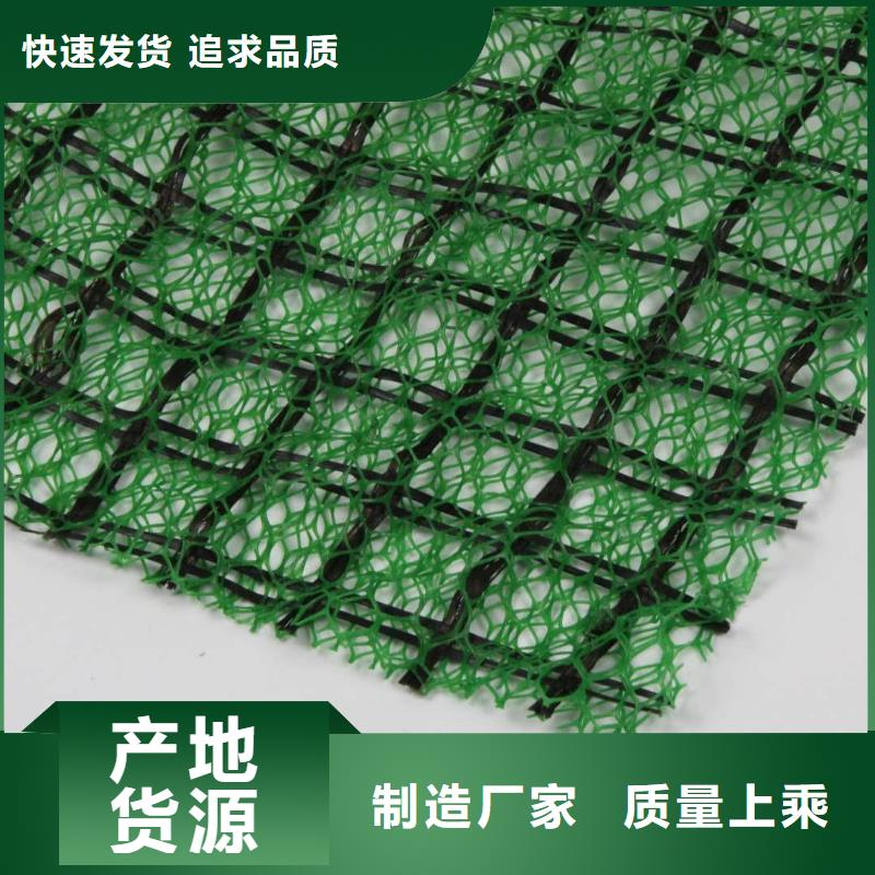 国标检测放心购买 三维植被网_【土工布价格】工程施工案例