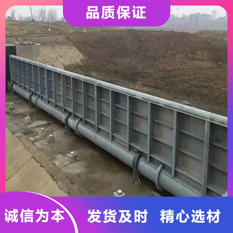  钢闸门品质卓越