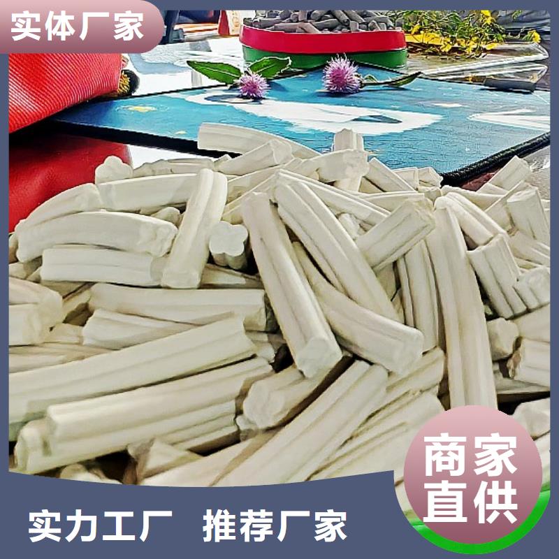 专业销售沼气脱硫剂-热销