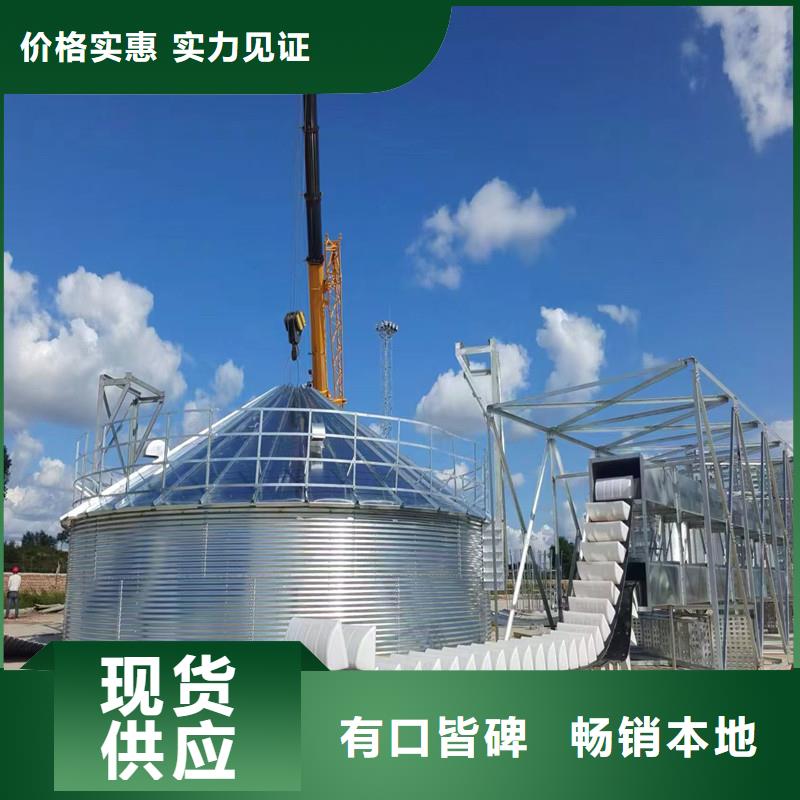 大型立式粮食筒仓精选商家