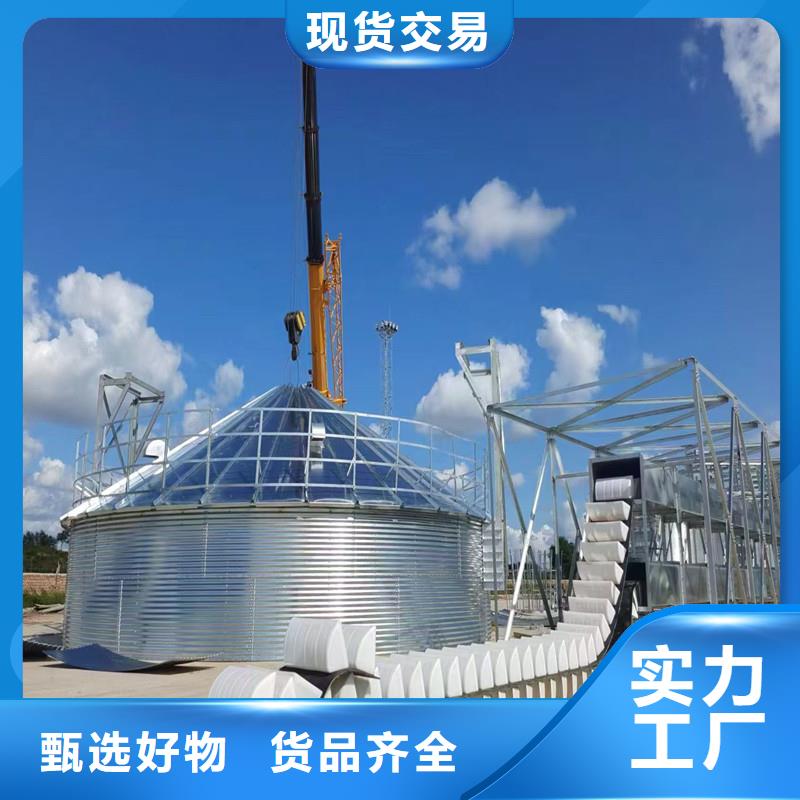 300吨玉米钢板仓出厂报价
