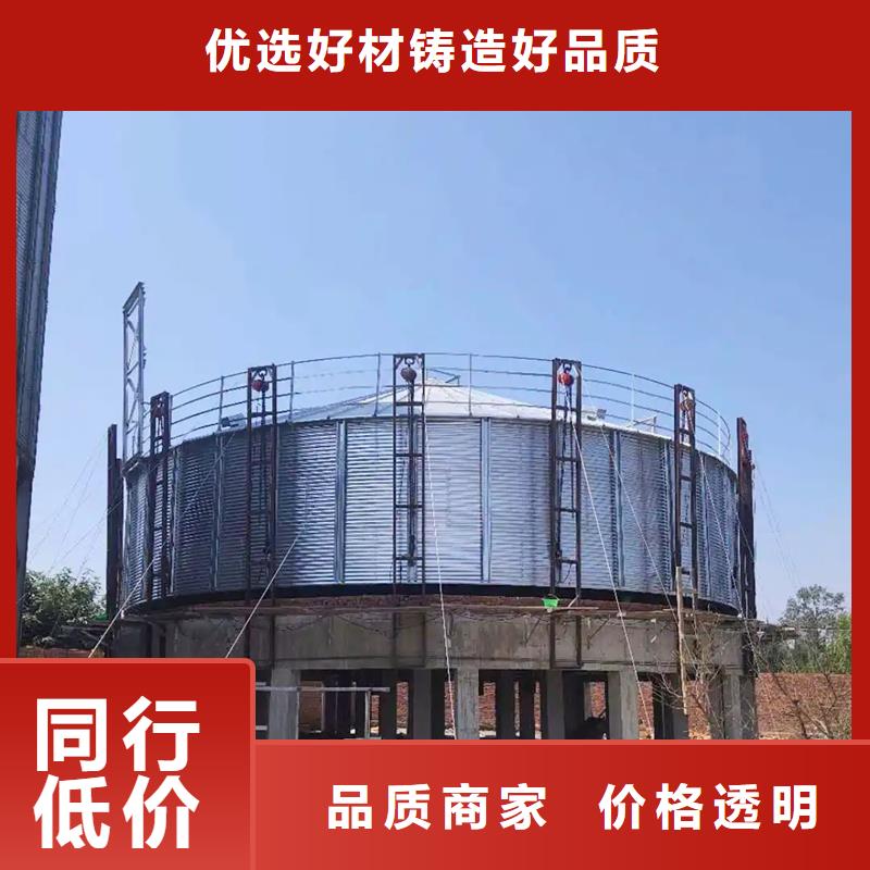 大型立式粮食储存仓实业厂家