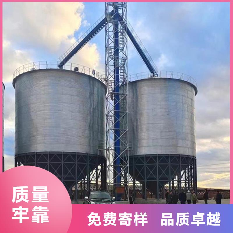 生产大型立式粮食储存仓_实力厂家