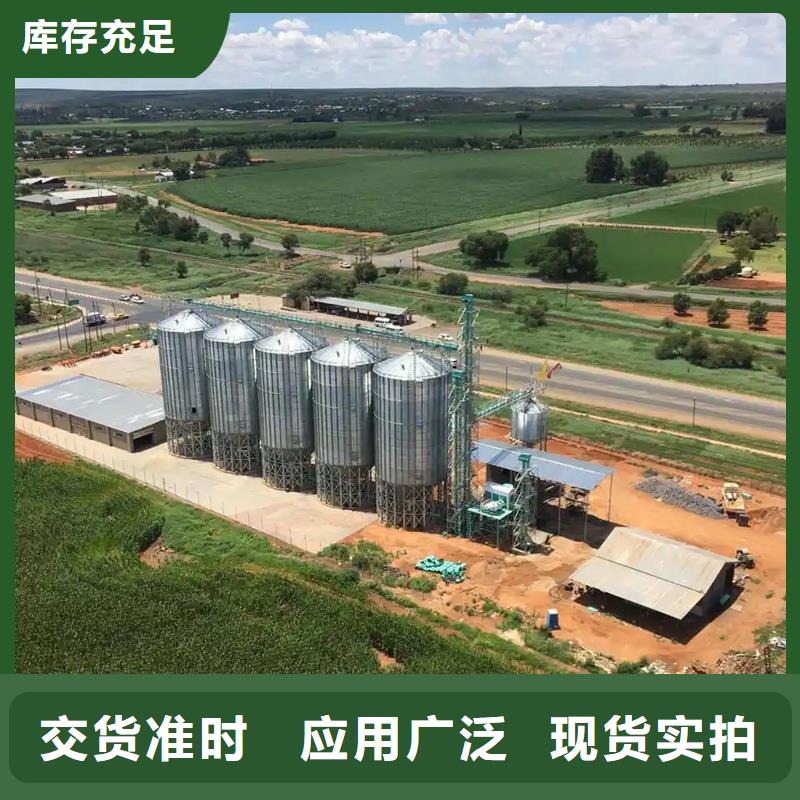 大型立式粮食储存仓远销海外