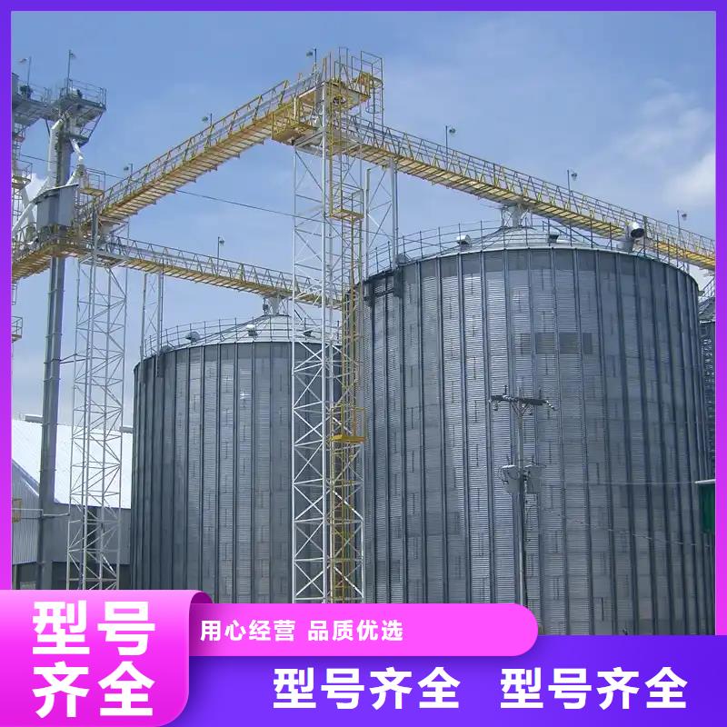 装配式钢板仓立式实体厂家