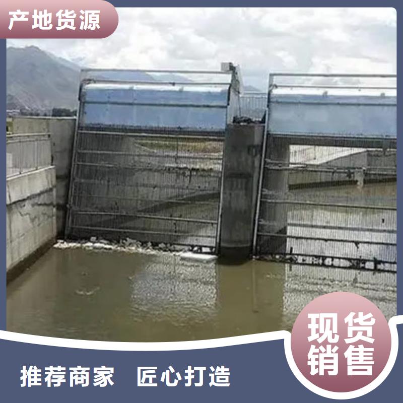 清污机手提铸铁闸门高品质诚信厂家