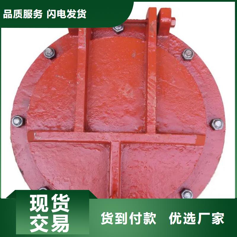 【拍门景观钢闸门厂家实力大】