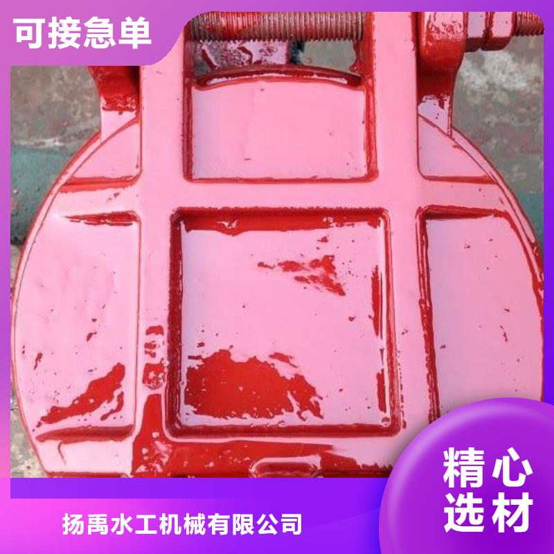 防倒灌拍门规格齐全