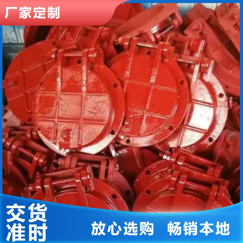 拍门 平板钢闸门实拍品质保障