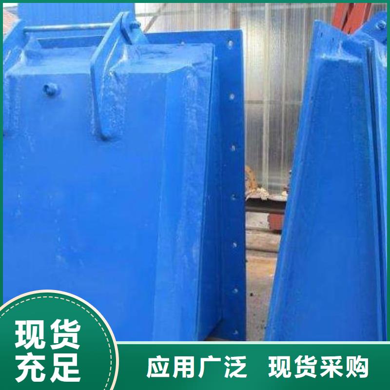 【拍门-泵站铸铁闸门厂家定制】