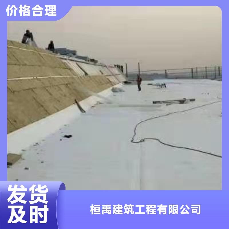 【PVC_PVC防水卷材产品细节参数】