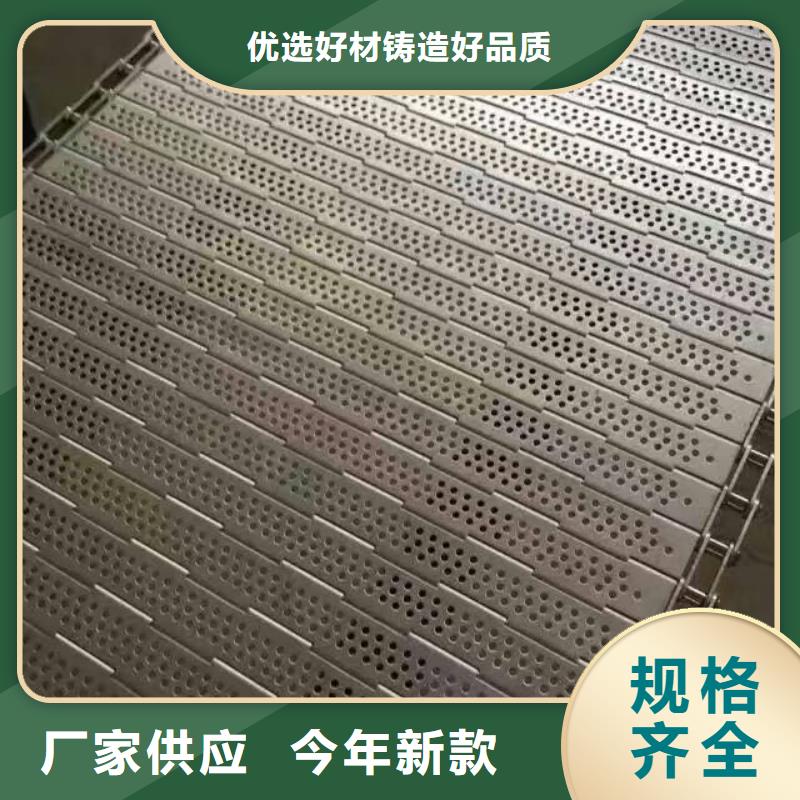【 链板输送机 输送机源头工厂量大优惠】当地制造商