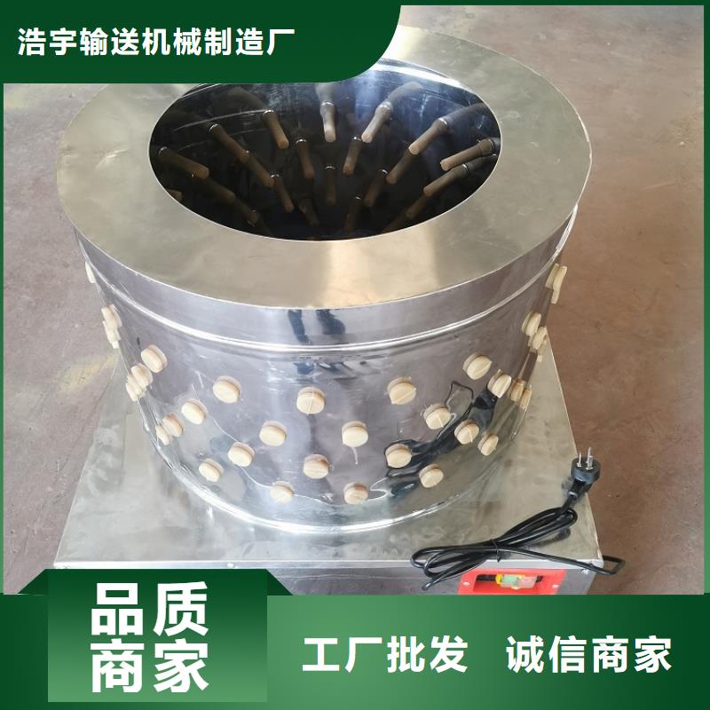 【家禽脱毛机】-输送带厂家可定制覆盖范围含|敦化|龙井|四平|吉林|辽源|长春|通化