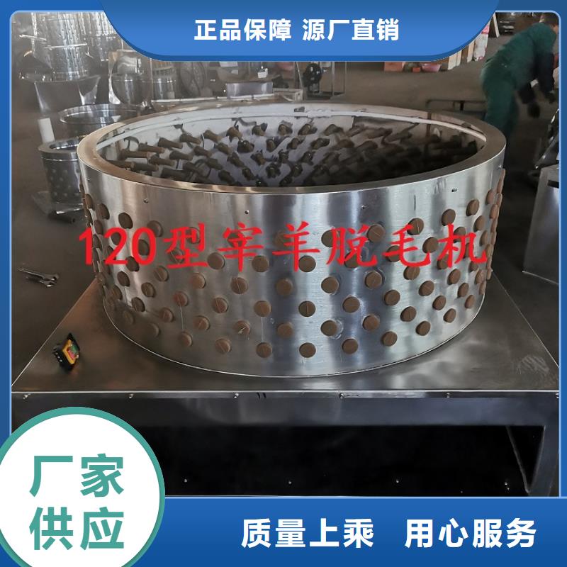 【家禽脱毛机】-输送机现货满足大量采购-浩宇输送机械制造厂(汕尾市分公司)