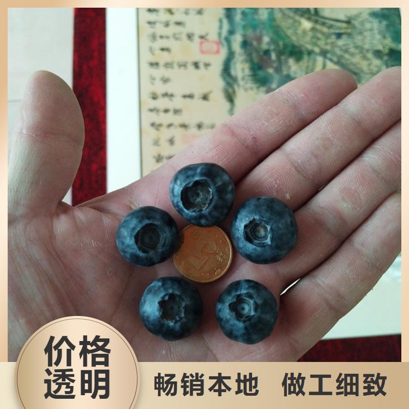 蓝莓苗,樱桃苗应用领域