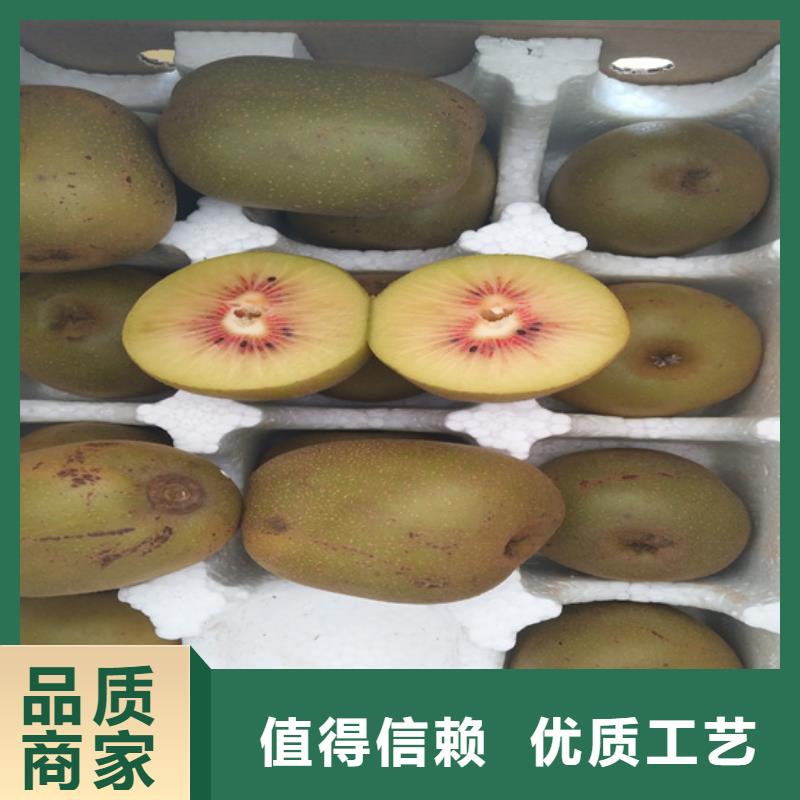 轩园樱桃苗【猕猴桃】,桃树苗好厂家有担当云推易