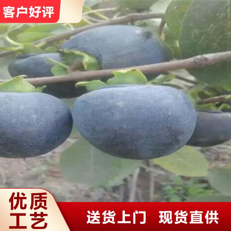 柿子【奶油草莓】实体诚信经营